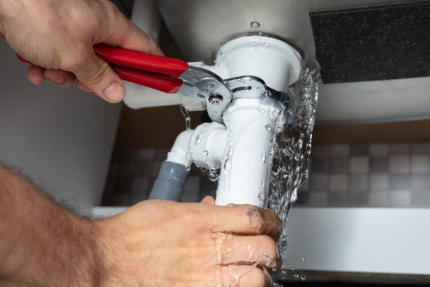 Best Sewage cleanup and water damage restoration  in Carver, MN