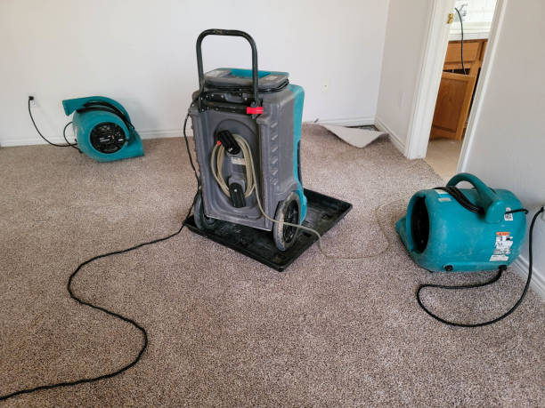 Best Emergency water damage restoration  in Carver, MN