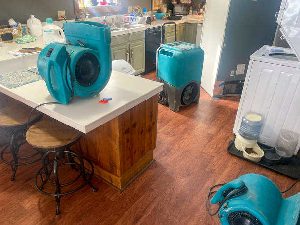 Best 24/7 water damage repair  in Carver, MN