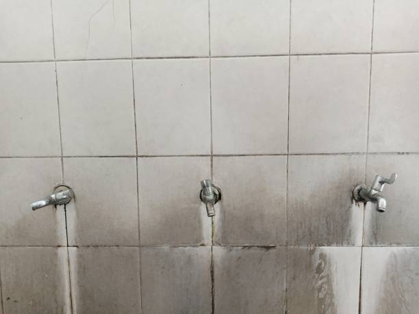 Best Residential water damage restoration  in Carver, MN